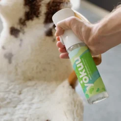 YOKUU Schoonmaakproducten|Schoonmaakproducten><noscript><img width=