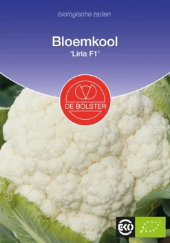De Bolster Groenten|Koolgewassen>Bloemkool 'Liria F1' - 25 zaden - BIO