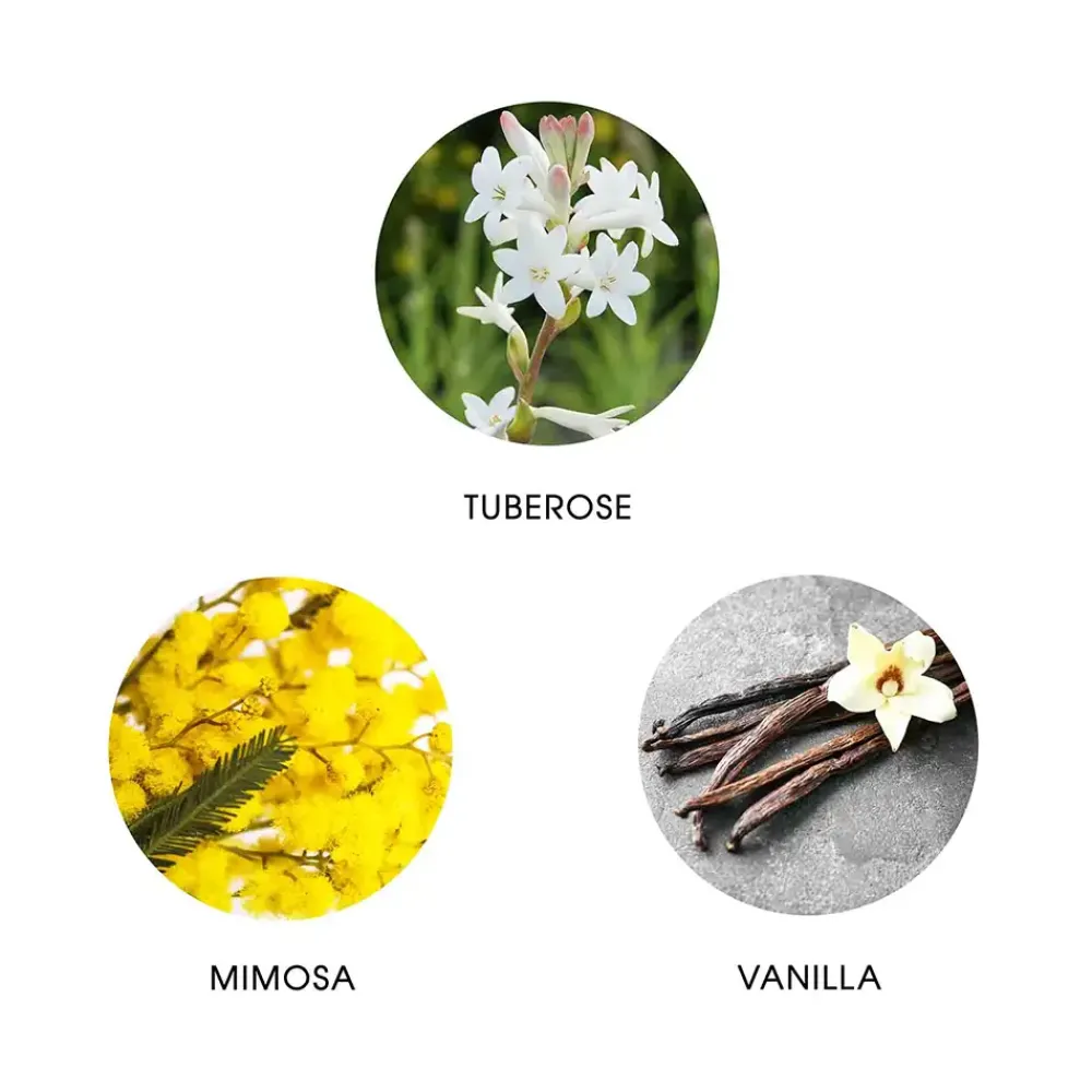 FiiLiT Parfum>Eau De Parfum - La Perla Maya Yucatan