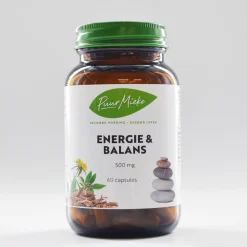 Puur Mieke Stress|Hersenen>Energie & Balans - 500mg - 60 caps