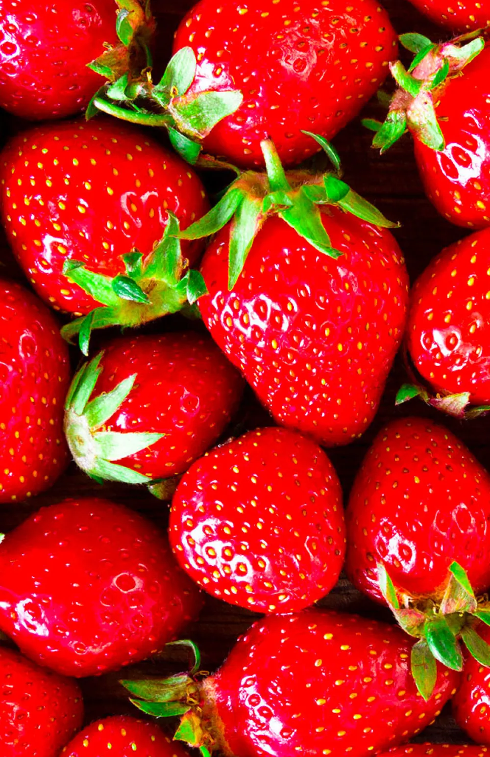 FiordiFrutta Fruitspreads>Fruitspread Aardbeien en wilde aardbeien 250g - BIO