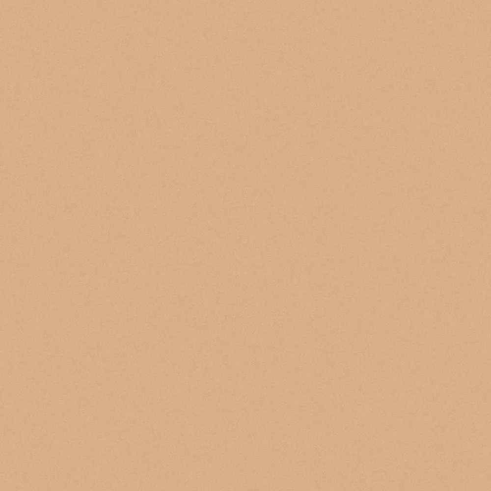 INIKA Gezicht/Concealer>Full Coverage Concealer - Sand - 3.5g - BIO