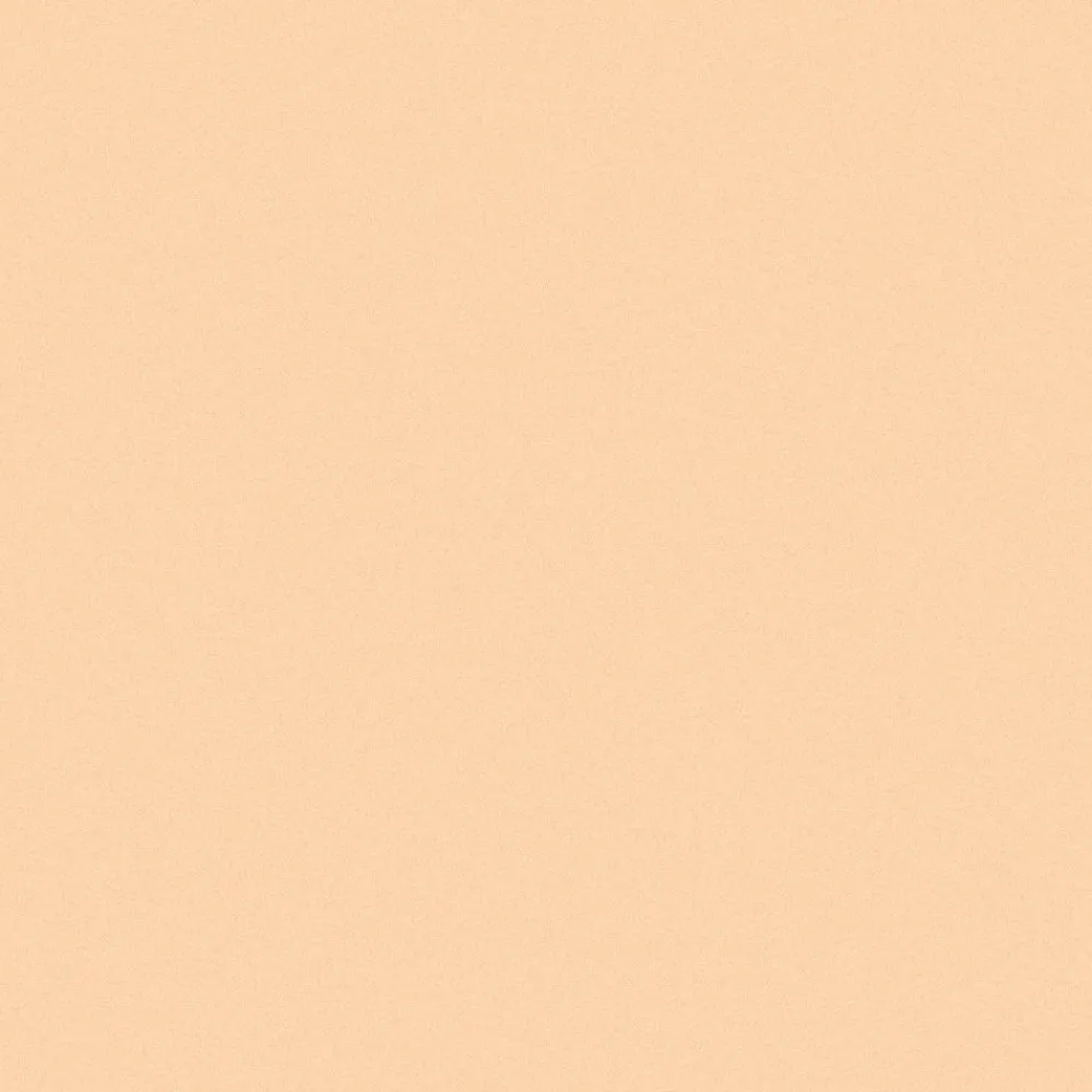 INIKA Gezicht/Concealer>Full Coverage Concealer - Shell - 3.5g - BIO
