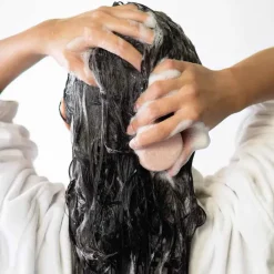 Shampoo Bars Haarverzorging/Shampoo En Conditioner|Shampoo Bars><noscript><img width=