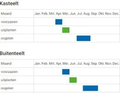 De Bolster Vruchtgewassen|Groenten>Komkommer 'Telegraph improved' - 1,5g - BIO