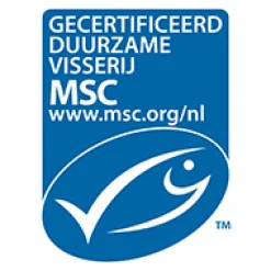 Arctic Blue Hart & Bloedvaten|Hersenen><noscript><img width=