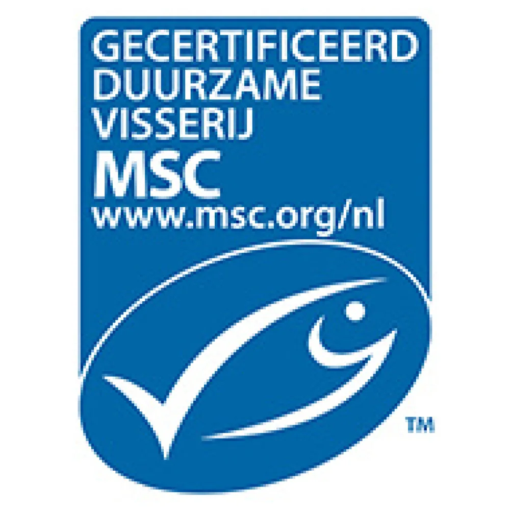 Arctic Blue Hart & Bloedvaten|Hersenen>Pure Arctische Visolie MSC + vitamine D - 250ml