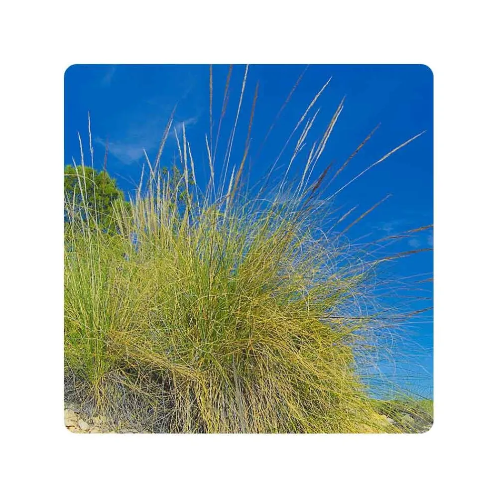 Eco-schuursponsjes Afwassponsjes, Doekjes En Borstels|Afwasborstels, Doekjes En Sponsjes>Schuurspons ESPARTO
