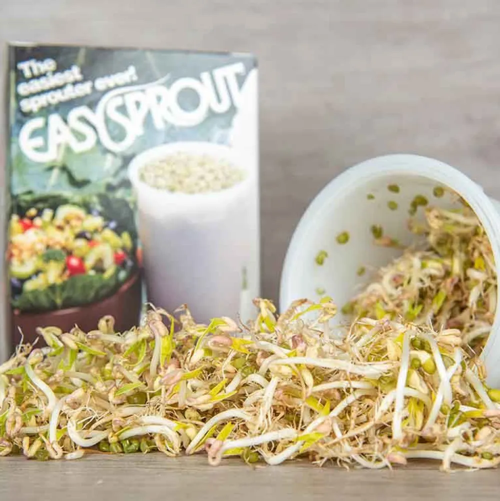 De Bolster Kiemgroenten>Taugé - Kiemgroente - 25g - BIO